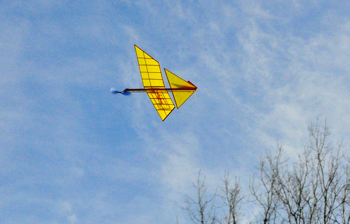 Triflyer SHORT KIT